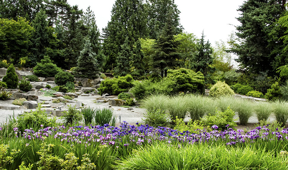 Bellevue Botanical Garden, United States